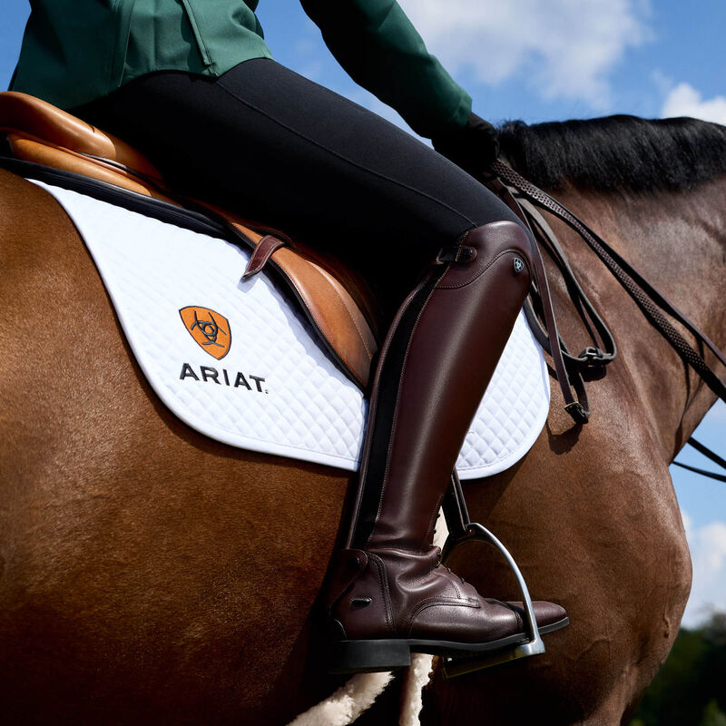 Ariat women's Palisade Field Tall Riding Boot