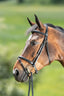 HFI comfort bridle - HorseworldEU