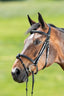 HFI anatomic bridle - HorseworldEU