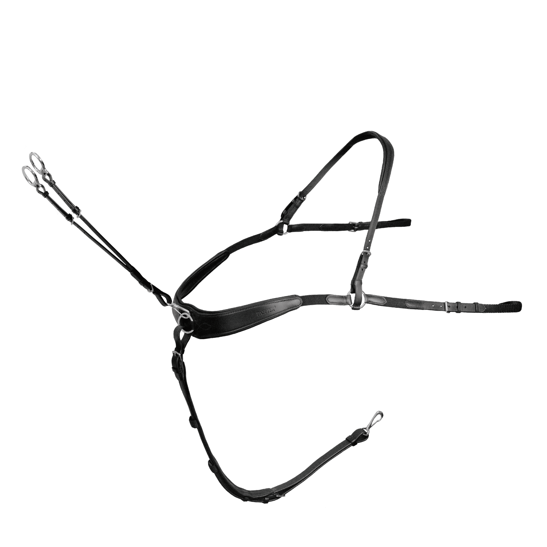 Passier Boundless Breastplate powered by Julia Krajewski