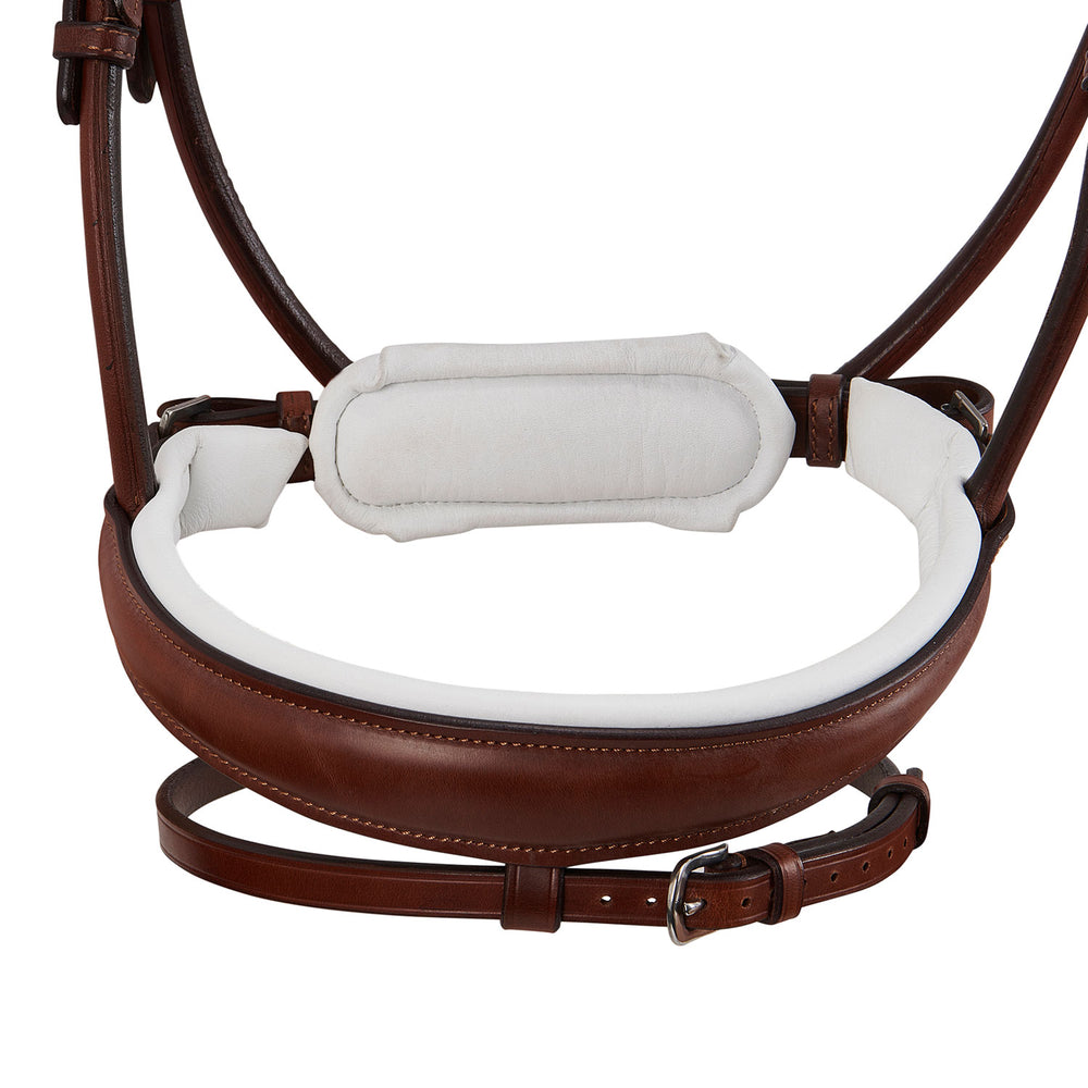 Acavallo poesia bridle