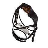 Acavallo poesia bridle