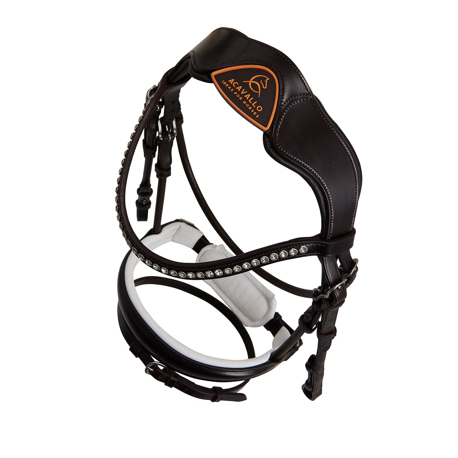 Acavallo poesia bridle