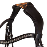 Acavallo poesia bridle