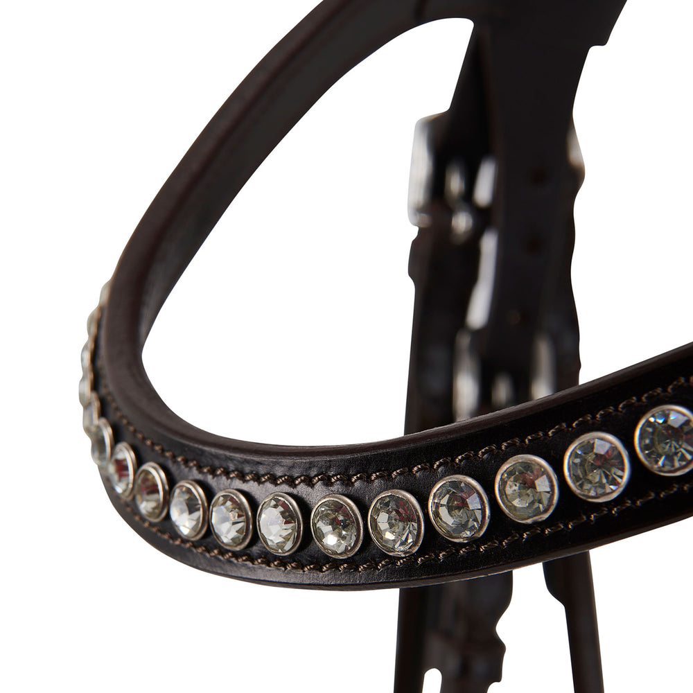 Acavallo poesia bridle