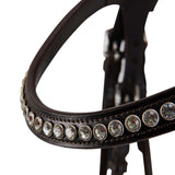 Acavallo poesia bridle