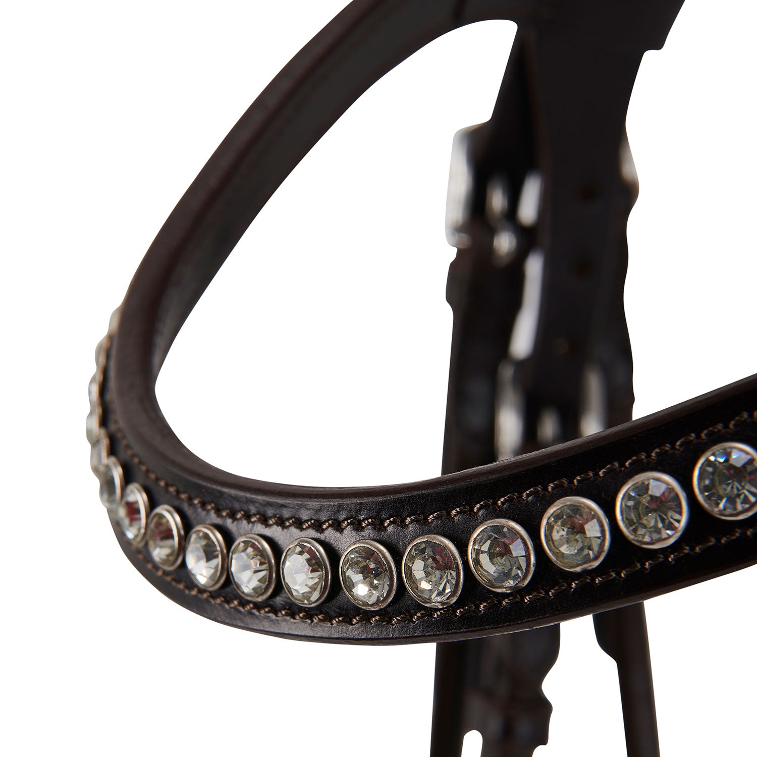 Acavallo poesia bridle