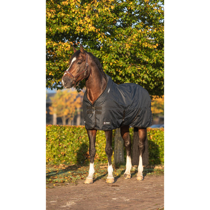Trust equestrian tetris turnout rug 100 gram