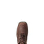 Ariat Anthem lacer boot for ladies - HorseworldEU