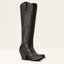 Ariat Casanova X toe western boot for ladies - HorseworldEU