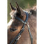 Hfi combo bridle / halter HFI