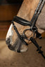 HFI edges bridle - HorseworldEU