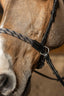 HFI freedom bitless bridle - HorseworldEU