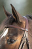 HFI regular bridle - HorseworldEU