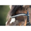 HFI shiny bridle HFI