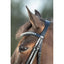 HFI shiny bridle HFI