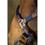 HFI smart halter HFI