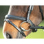 HFI soft bridle HFI