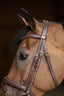 HFI wavy bridle - HorseworldEU