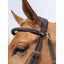 LeMieux work bridle Lemieux