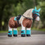 LeMieux toy pony fly hood Lemieux