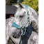 LeMieux Vogue headcollar and Leadrope Lemieux