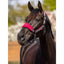 LeMieux Vogue headcollar and Leadrope Lemieux