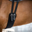 Stübben neoprene saddle girth short without elastic ends - HorseworldEU